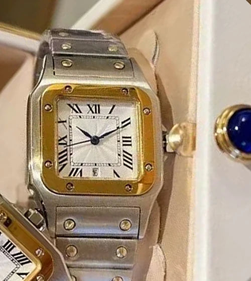 Fashion Brand Wrist Watches Woman Girl Ladies 29mm 26mm Square Good Quality Steel Metal Band Japanese Quartz Luxury Clock CT115